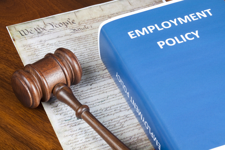 an image of an employment policy booklet beside the bill of rights and a judge's gavel