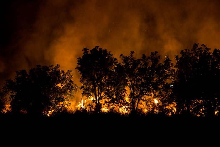fire burning at night